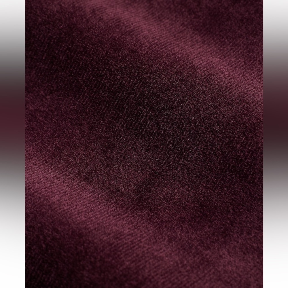 Velvet Blazer - Picture 8 of 10